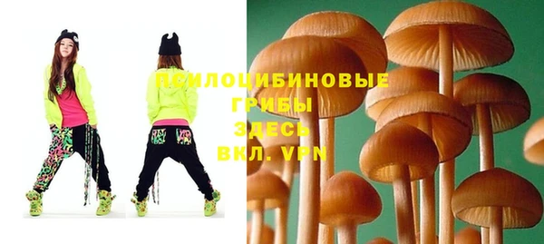 мескалин Баксан
